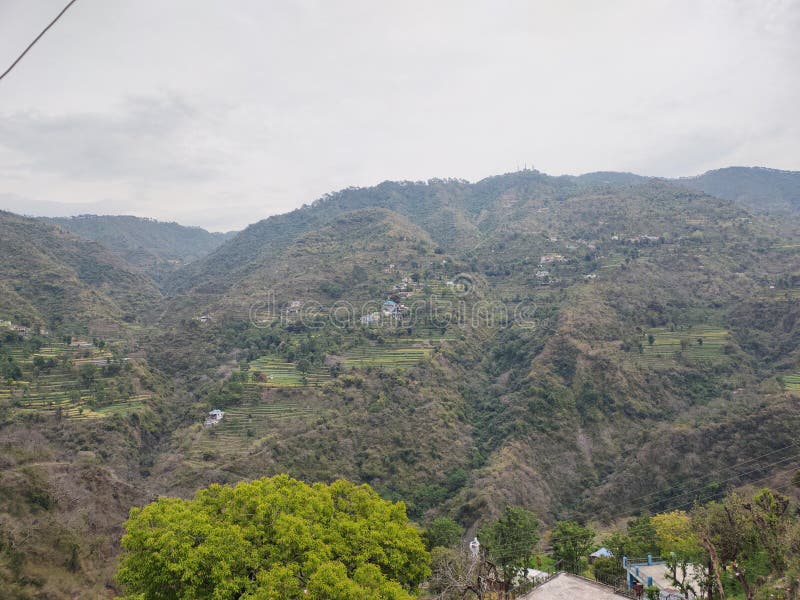 Parwanoo Terraced Fields
